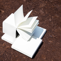 photo Arctic Paper