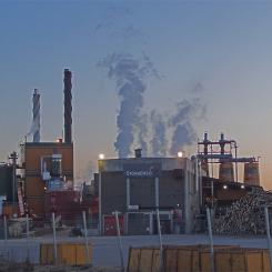 Photo: Tommy Halvarsson/Wikimedia Commons