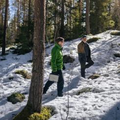 UPM’s own forests will serve as research areas and pilot sites, enabling rapid testing of results in practical forestry. The project begins in spring 2026 and will run for four years. Photo: UPM.