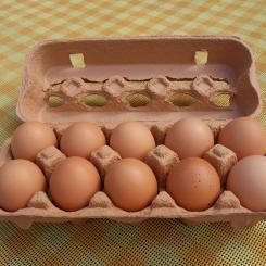 Molded fiber is the most common material for egg cartons due to its sustainability, low cost, and good cushioning properties. Photo: Wikimedia Commons