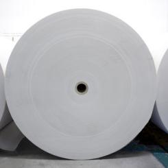 Photo: Willamette Falls Paper Company
